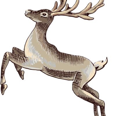 reindeer 2 Thumbnail