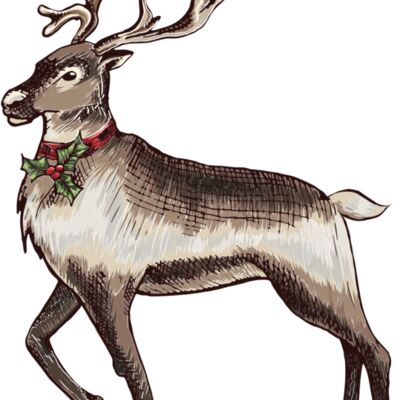 reindeer 1 Thumbnail