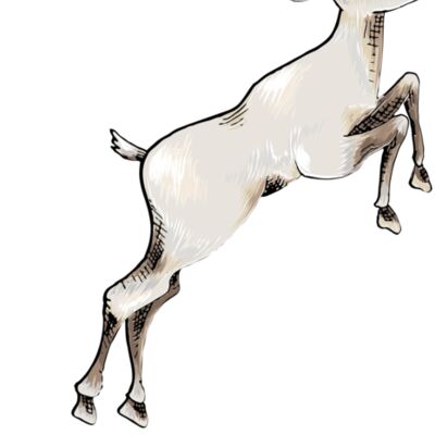 reindeer 3 Thumbnail