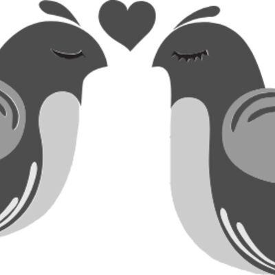 lovebird 2 Thumbnail