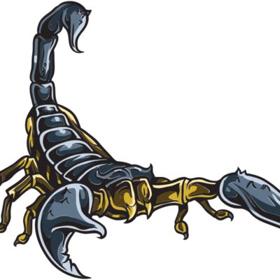 scorpion 3 Thumbnail