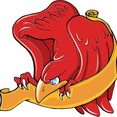 colorful birds 3 Thumbnail