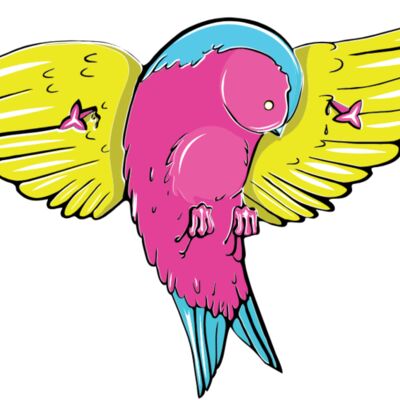 colorful birds 6 Thumbnail