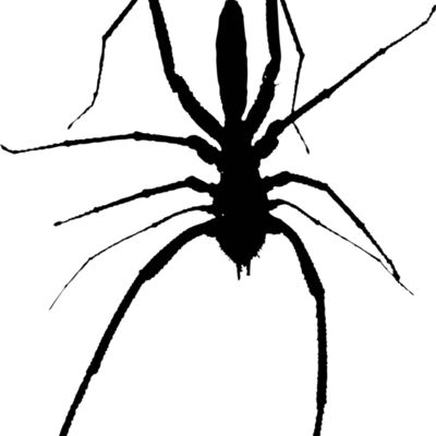 halloween 36 Thumbnail