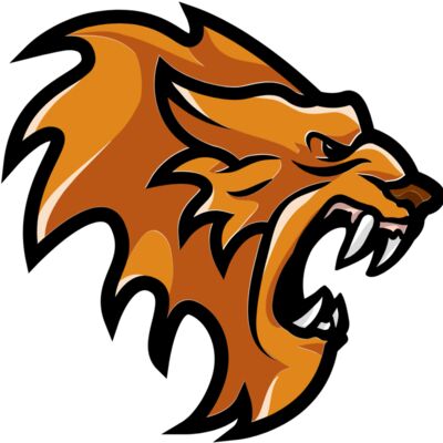 mascot 27 lion Thumbnail