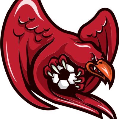 mascot 29 eagle Thumbnail