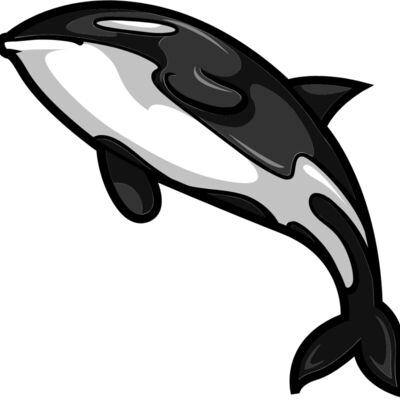 mascot 19 whale Thumbnail