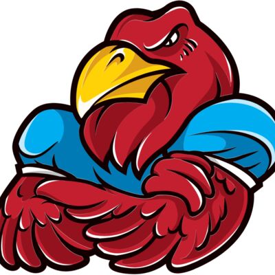 mascot 46 rooster Thumbnail