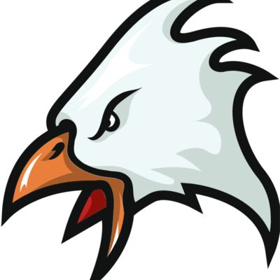 mascot 28 eagle Thumbnail