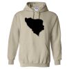 Heavy Blend™ Hooded Sweatshirt Thumbnail