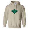 Heavy Blend™ Hooded Sweatshirt Thumbnail