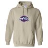 Heavy Blend™ Hooded Sweatshirt Thumbnail