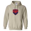 Heavy Blend™ Hooded Sweatshirt Thumbnail