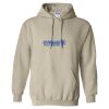 Heavy Blend™ Hooded Sweatshirt Thumbnail