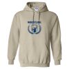 Heavy Blend™ Hooded Sweatshirt Thumbnail