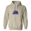 Heavy Blend™ Hooded Sweatshirt Thumbnail